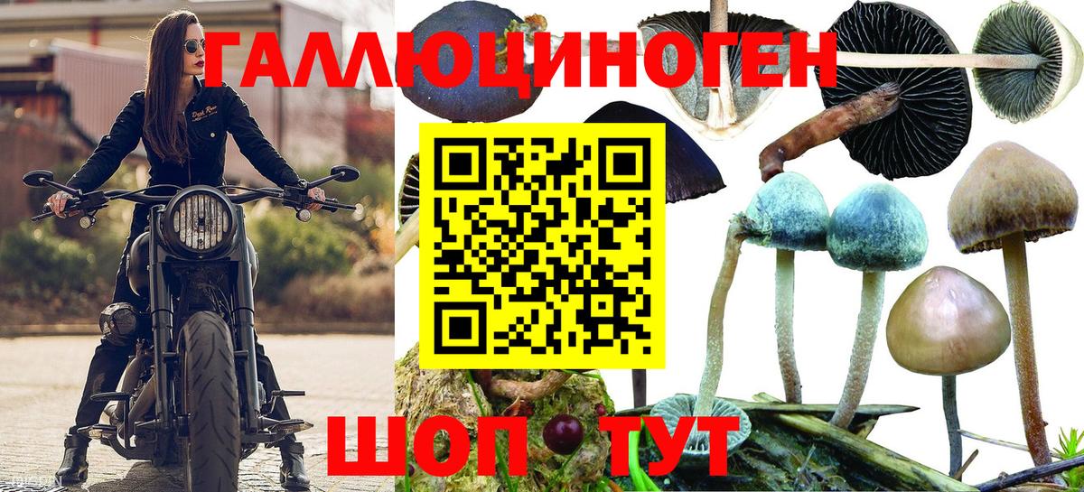где найти наркотики  Псилоцибиновые грибы мицелий  Рузаевка  Вход с VPN  Псилоцибиновые грибы Cubensis 